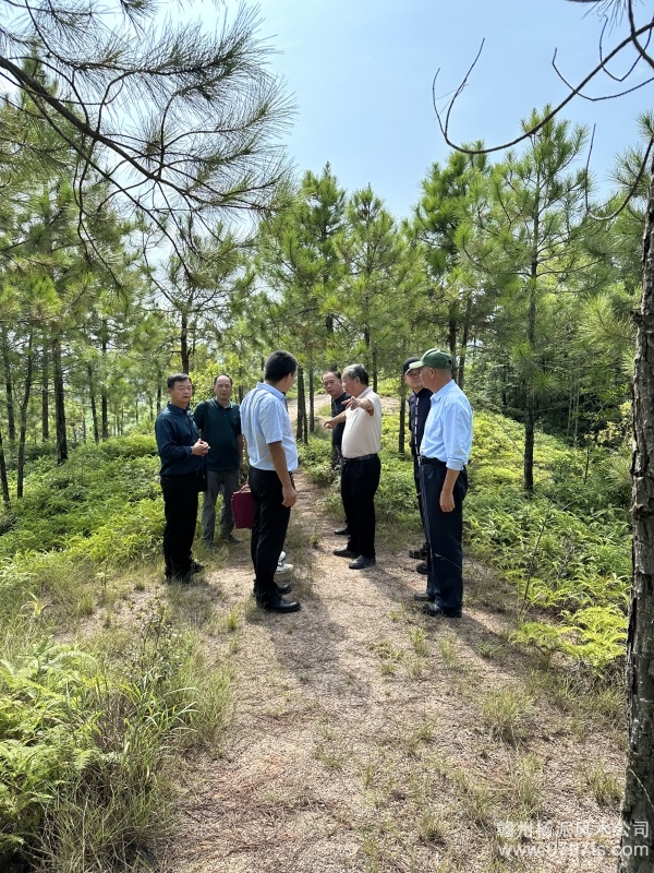 綦江区学杨公风水跟陈荣昌老师实在